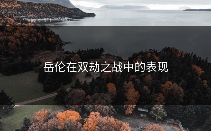 岳伦在双劫之战中的表现
